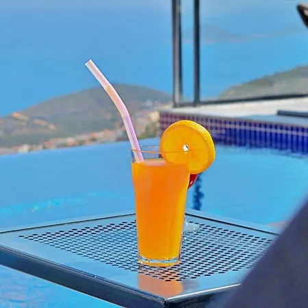 Seaview 9108 ヴィラ カルカン